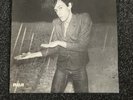 iggy pop the idiot vinyl lp