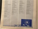 The Chameleons ‎– What Does Anything Mean? Basically VINYL LP
