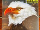 Mogwai The Hawk Is Howling Sealed 2x12