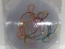 Liars Mess 12” Single vinyl record w Embedded String 2014 Limited Ed.