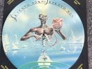 SUPER RARE PICTURE DISC LP  IRON MAIDEN SEVENTH SON OF A SEVENTH SON NEAR MINT