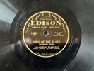 CALIFORNIA RAMBLERS Song of the Blues/Broken Idol EDISON 14045 Needle Type HOT