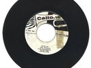 PIONEERS WITH RAMBLERS / GIVE UP / NEVER COME RUNNING BACK / 7''
