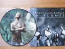In Flames / Reroute to Remain / Picture Disc LP / 12inch vinyl