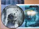 In Flames / Soundtrack to your Escape / Picture Disc LP / 12inch vinyl