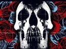 Deftones Deftones  (Vinyl)  12