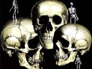 Skull Snaps
