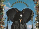 Goodbye Jumbo LP [VINYL]