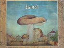 Sameti Vinyl LP Used