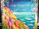 Ozric Tentacles - Erpland LP   NM '90 UK Original Dovetail