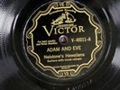 Nelstone's Hawaiians VICTOR 40011 E 