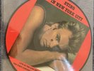Sting In New York City Live Picture Disc N MINT THE POLICE Never Used 400 Made