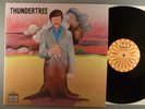 Thundertree  Self-Titled   Rare LP    Psych