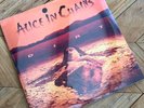 Alice in Chains Dirt Orange Vinyl 2022 Official Reissue