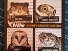 The Four Owls Nature's Greatest Mystery 12