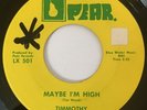 Timmothy Maybe I’m High 45 Psych Loner Garage Punk Folk Michigan Pear
