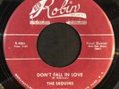 THE SEQUINS Don't Fall In Love RED ROBIN RARE DOO WOP R&B 45 ORIGINAL Clean