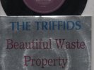 THE TRIFFIDS   Rare 1984 Aust Only 7