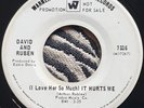 David and Ruben - (I love her so much) It hurts me - Warner Brothers Demo