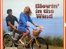 BLOWIN' IN THE WIND (ALL STAR FOLKSONG GREATS )  7 LPS PREMIUM USED LP (NM/EX)