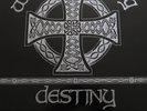 DESTINY LP 1ST PRESS 1990 RARE  Oi REBELLES ROR ROCK O RAMA ISD