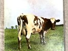 PINK FLOYD ATOM HEART MOTHER 1970 UK 1st PRESS NM SHVL 781 A-1 B-1 NO EMI PROG