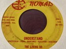 The Living Us - Understand / Steal Away Rare Soul Funk 45 Nomad Records Texas