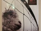 PEARL JAM - VS. Vinyl LP (Remastered) 180g SEALED with HYPE STICKER