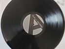 THE APPLES IN STEREO - TONE SOUL EVOLUTION [WHITE LABEL TEST PRESSING]