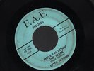Hear Floyd Fletcher Rockabilly Original (not repro) 45 (Move On Down the Track)