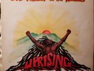 Bob Marley And The Wailers - Uprising: ILPS 9596. Island Records. LP  1980 VG+
