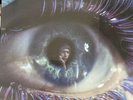 scott walker 3