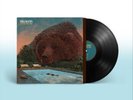 Villagers Fever Dreams (Vinyl) 12