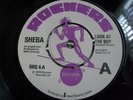 SHEBA.LOOK AT THE BOY.7