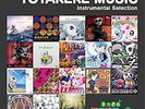 ATSUMARE DOBUTSU NO MORI TOTAKEKE MUSIC INSTRUMENTAL SELECTION (LP30cm1)