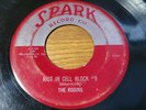R&B Doo Wop 45 The Robins 