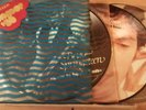 BRUCE SPRINGSTEEN -   BORN TO BE THE BOSS - 4 LP picture-disc PDK perfetti