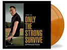 LP BRUCE SPRINGSTEEN 