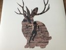 Miike Snow – Happy To You -  RARE 2 LP   VINYL - NEUF