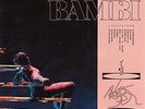 HIPPO CAMPUS - BAMBI (MIDWINTER) NEW VINYL