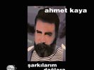 Ahmet Kaya - Şarkılarım Dağlara (Plak / Vinyl / LP)