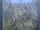 Super Furry Animals Live At The BBC Box Set