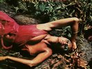 ROXY MUSIC - Stranded (half speed remastered) - Vinyl (LP)
