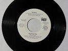 House 45 - Nuyorican Soul - Runaway - Blue Thumb  - NM