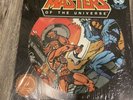 NEW 1983 MASTERS OF THE UNIVERSE PHONO PICTURE DISC LP Limited edition Kid Stuff