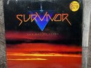 Survivor - Too Hot To Sleep  - VG+ 1988 vinyl LP - OIS - DIDN'T KNOW IT WAS LOVE
