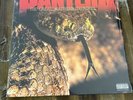 Pantera 'The Great Southern Trendkill' LP Colored Vinyl Limited Edition
