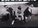Beastie Boys Check Your Head (Vinyl) Deluxe Version / Remastered
