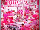 THE LITTLE RABBITS - LA GRANDE MUSIQUE - BARCLAY 549607