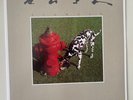 Signals RUSH LP RE 200gm prog - Mercury B002238301